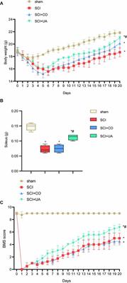 Ursolic Acid Ameliorates Spinal Cord Injury in Mice by Regulating Gut Microbiota and Metabolic Changes
